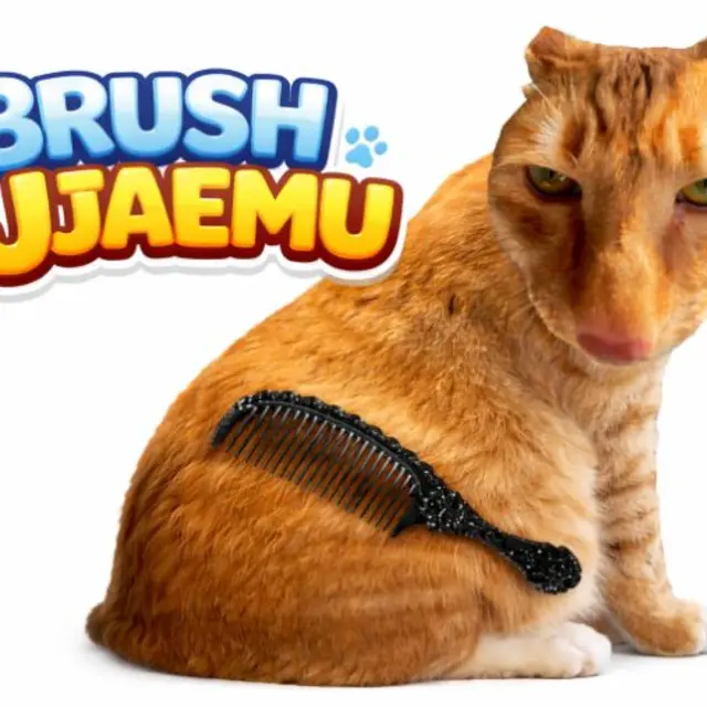 Cartoon cat being brushed with a score counter rising
