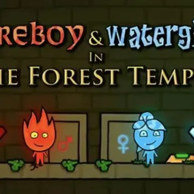 Two elemental characters on opposite sides of a temple puzzle room
